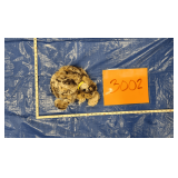 Bobcat pelt, frozen	Cities Tag: IDB0000780