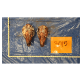 Wolf skulls (qty 2), frozen