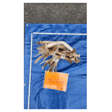 Mule Deer Antler Bundle	9.67 lbs