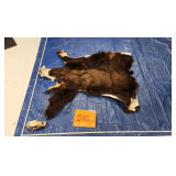 Black Bear hide and skull, salted Pelt Tag 0091524
