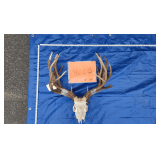 1 MD skull cap, 1 MD euro skull	6.6 lbs