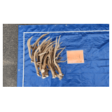 Mule Deer Antlers	26lbs