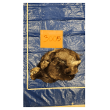 Wolf hide and skull, frozen	Pelt Tag 6434
