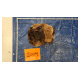 Black Bear hide (no skull), frozen	Pelt Tag 0063728