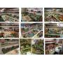 Playsets and Farm Minatures Video Preview-Auction Coming Soon