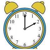 Pick up will be Wednesday, April 15 in Cedar Rapids, IA by appointment only between 1pm-3pm. Shipping is available for select items on this sale, please call the office with questions.