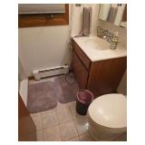 Bathroom rugs, hairdryers, wastebasket, hand soap dispenser