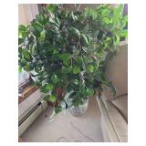 Silk plant in pot, 48'