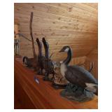 A heard of birds and a gaggle of geese!