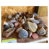 Large group of polished agates and wood