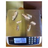Seven pieces of petrified pinecones and wood pieces