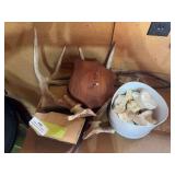 Antlers rock and bone pieces