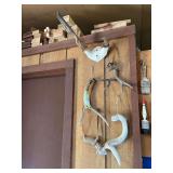 All antlers and horns in workshop - on walls