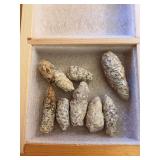 Eight petrified pinecones