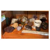 Petrified wood, geodes, agate, polished rocks, unique fossils