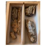 Drawer full of petrified wood
