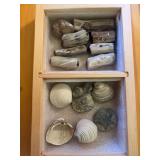 Polished petrified tree branches, and fossilized shells