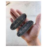 Unique fern fossil