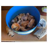 Container full of petrified wood