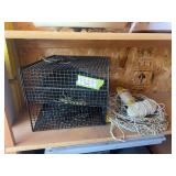 Crawfish traps, floats and minnow bucket
