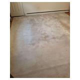 Cream rug 9x12