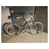 Rincon Giant Mountain Bike