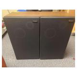 Pioneer speakers