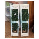 (2) lighted Italian pine trees