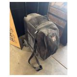 Bowling balls and rolling bag