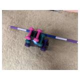Dumbbells and the sculpting stick by the firm