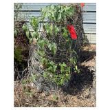 Qty of tree baskets, tree partially grown into