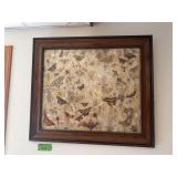 Framed butterflies, moths, etc Collected locally 33x29