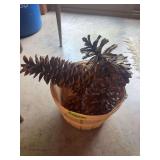 Basket of large pine cones