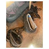 saddle horse size harness set up