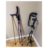 Assorted canes