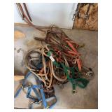 Halters and lead ropes