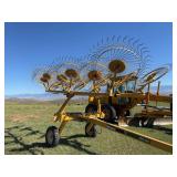 Vermeer VR1224 hay rake - 12 wheel, with dual hydraulics to operate either side or both