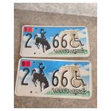 Wyoming handicapped plates