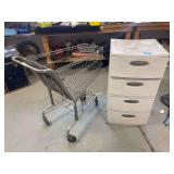 Shopping cart and plastic storage bin