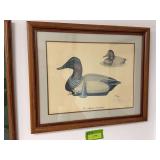 S/N Special Edition Jack Hahn “The Majestic Canvasback” 75/150 Framed 23x18