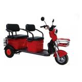 Small Electric Trike