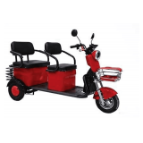 Small Electric Trike