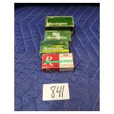 Remington .22 Rimfire Cartridge Assortment