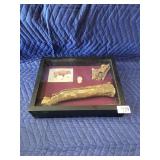 Bison Bone Assemblage in Display Case