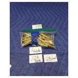 Fiocchi .223 REM Ammunition, 25 Count
