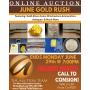 JUNE GOLD RUSH AUCTION