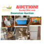 Downsizer Auction