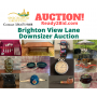 Brighton View Lane Downsizer Auction