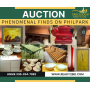 Phenomenal Finds on Philpark