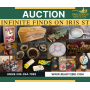 Infinite Finds on Iris Street